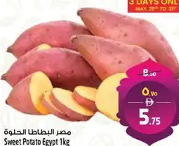 Safari Hypermarket Sweet Potato offer