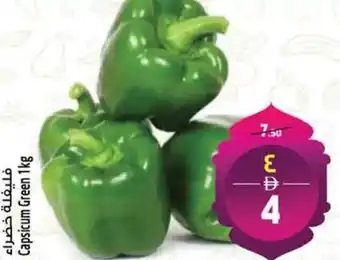 Safari Hypermarket Capsicum Green offer