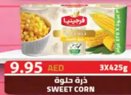 Almaya supermarket Sweet corn offer