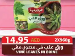Almaya supermarket Vine leaves in brine offer