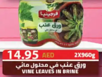 Almaya supermarket Vine leaves in brine offer