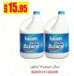 Almaya supermarket Bleach offer