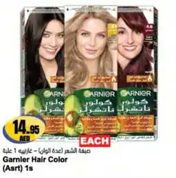 Almaya supermarket Garnier Hair Color (Asrt) 1s offer