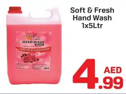 Day To Day Soft & Fresh Hand Wash offer