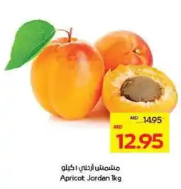 Megamart Apricot Jordan offer