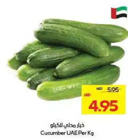 Megamart Cucumber UAE offer