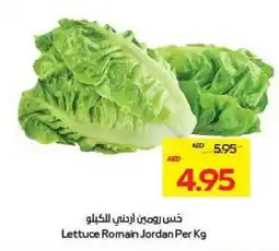 Megamart Lettuce Romain Jordan offer