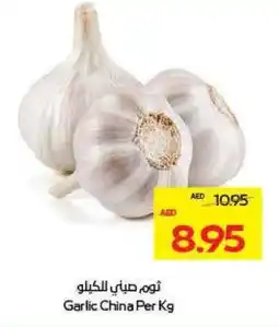 Megamart Garlic China offer
