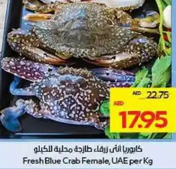 Megamart Fresh Blue Crab Female UAE offer