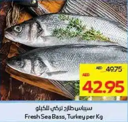 Megamart Fresh Sea Bass Turkey offer