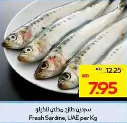 Megamart Fresh Sardine UAE offer