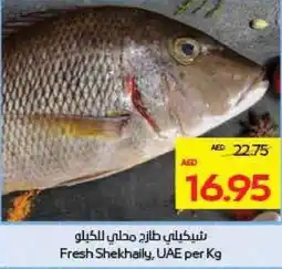 Megamart Fresh Shekhaily UAE offer
