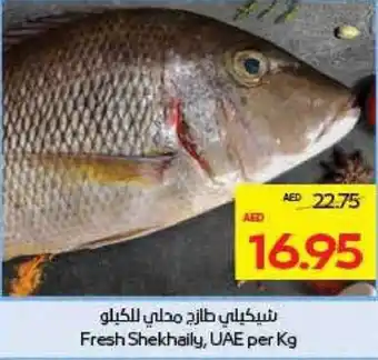Megamart Fresh Shekhaily UAE offer