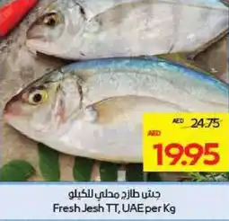 Megamart Fresh Jesh TT UAE offer