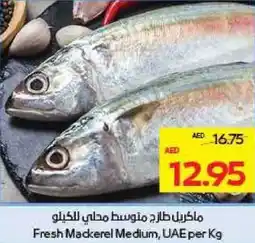 Megamart Fresh Mackerel Medium UAE offer