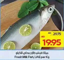 Megamart Fresh Milk Fish UAE offer