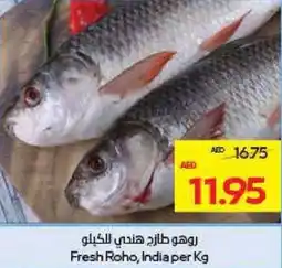 Megamart Fresh Roho India offer