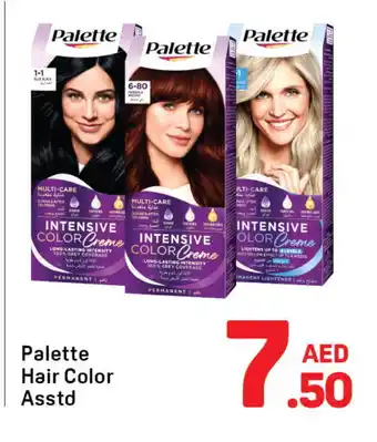 Day To Day PALETTE Hair Colour offer
