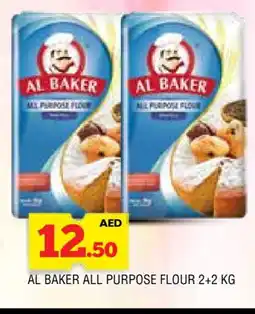 Al Madina AL BAKER All Purpose Flour offer