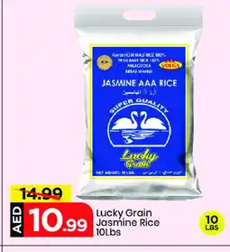 Mark & Save VOLGA Jasmine Rice offer