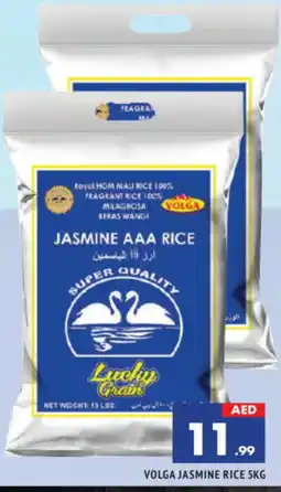 Al Madina VOLGA Jasmine Rice offer