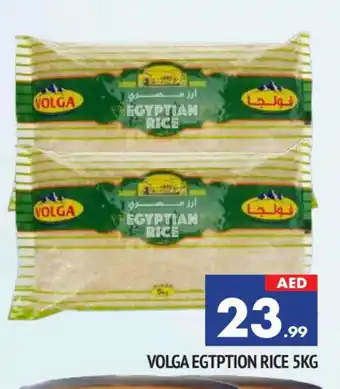 Al Madina VOLGA Egyptian / Calrose Rice offer
