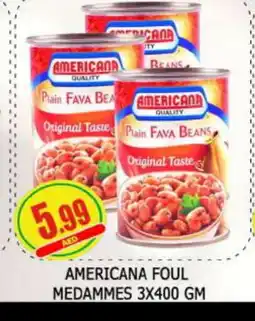 Al Madina AMERICANA Fava Beans offer
