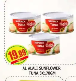 Al Madina AL ALALI Tuna - Canned offer