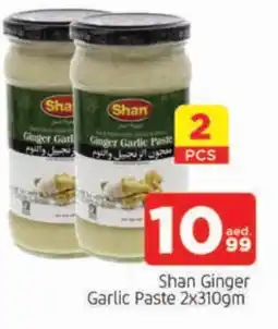 Al Madina SHAN Garlic Paste offer