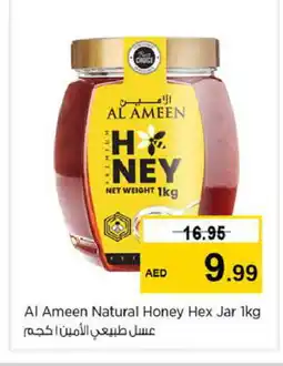 Nesto AL AMEEN Honey offer