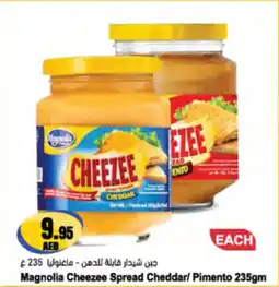 Almaya supermarket Magnolia Cheezee Spread Cheddar Pimento offer