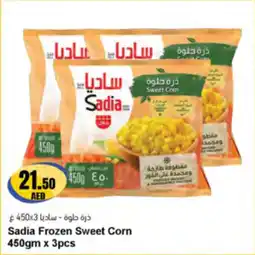 Almaya supermarket Sadia Frozen Sweet Corn offer
