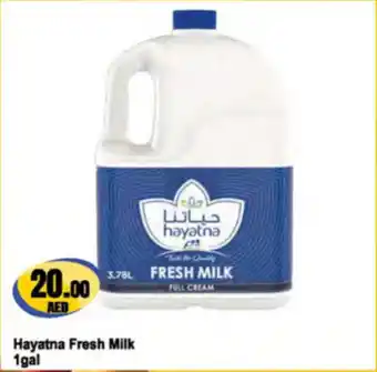 Almaya supermarket Hayatna Fresh Milk offer