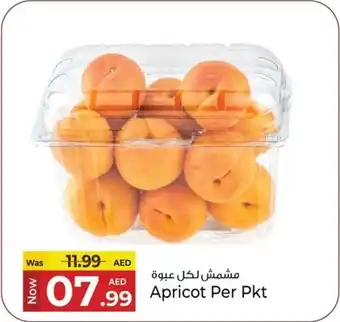 Kenz Hypermarket Apricot offer