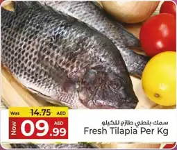 Kenz Hypermarket Fresh Tilapia offer