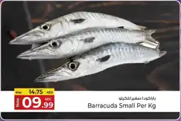 Kenz Hypermarket Barracuda Small offer