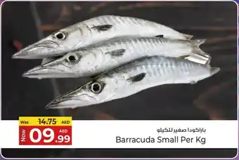 Kenz Hypermarket Barracuda Small offer