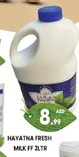 Zain Hypermarket HAYATNA Fresh Milk offer