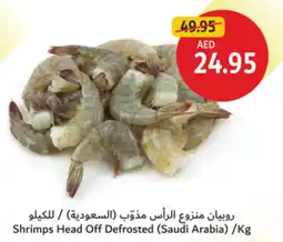 Union Coop Shrimps Head Off Defrosted offer