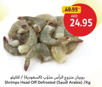 Union Coop Shrimps Head Off Defrosted offer