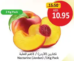 Union Coop Nectarine offer