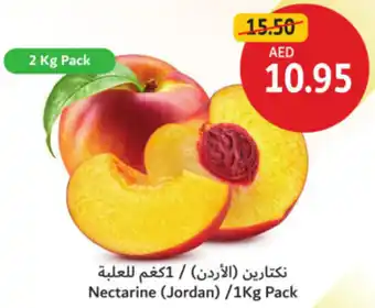 Union Coop Nectarine offer