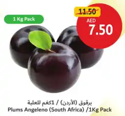 Union Coop Plums Angeleno offer