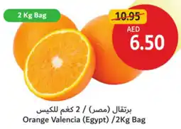 Union Coop Orange Valencia offer