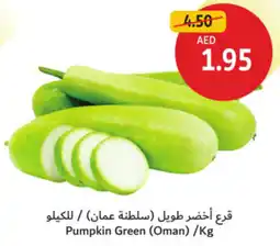 Union Coop Pumpkin Green offer