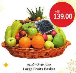Union Coop Large Fruits Basket offer