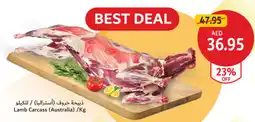 Union Coop Lamb Carcass offer