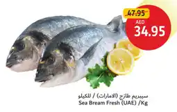 Union Coop Sea Bream Fresh offer