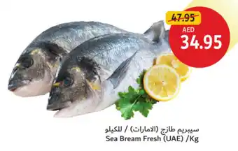 Union Coop Sea Bream Fresh offer