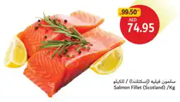 Union Coop Salmon Fillet offer